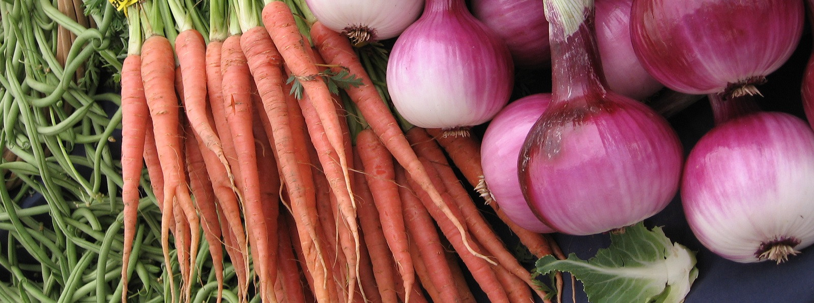 02_Fall_veggies_CROPthin