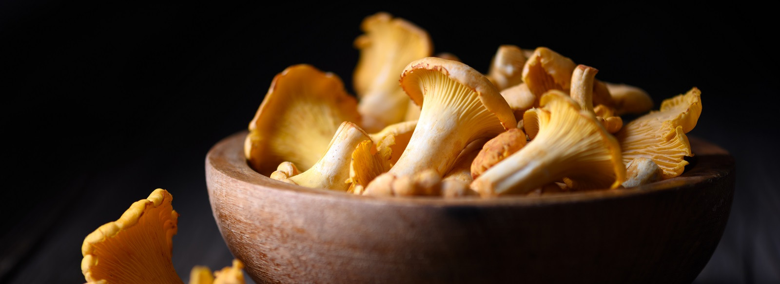 Chanterelle mushrooms in a wooden bowl on rustic wooden table close up. Food photography Chanterelle mushrooms in a wooden bowl on rustic wooden table