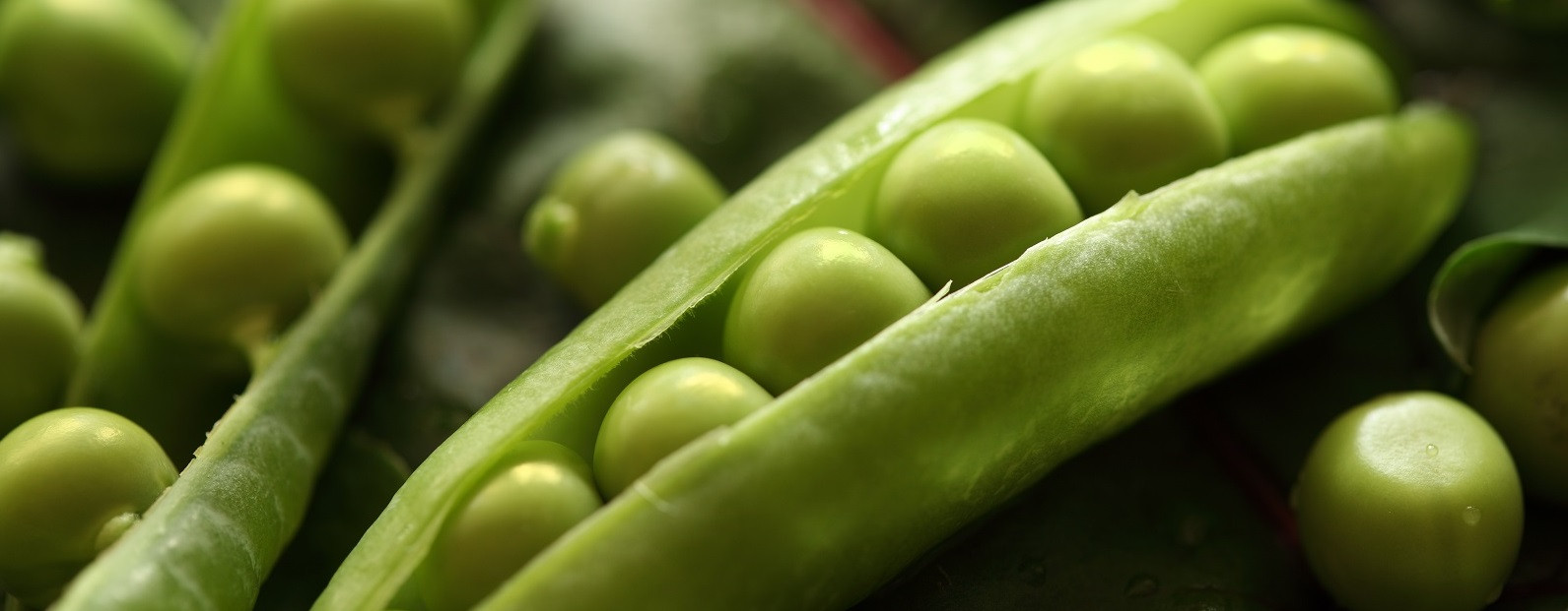 01_GreenPeaPods_CU_dreamstime_xxl_15537119-CROP_1600px