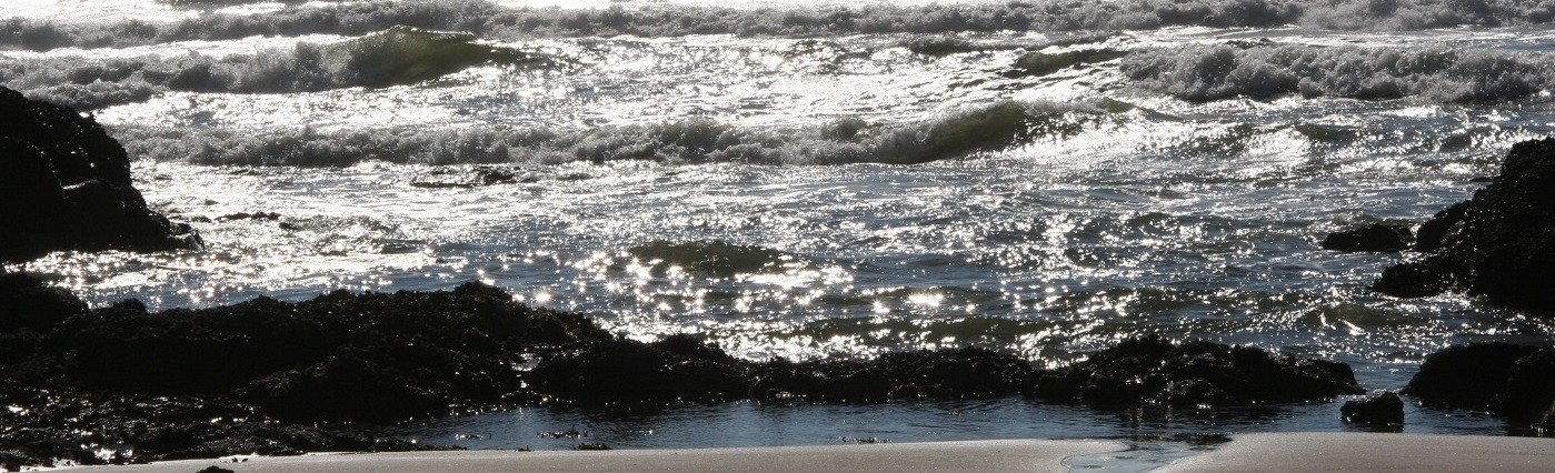 01_OceanWaves_OR_Coast_IMG_5053-CROP